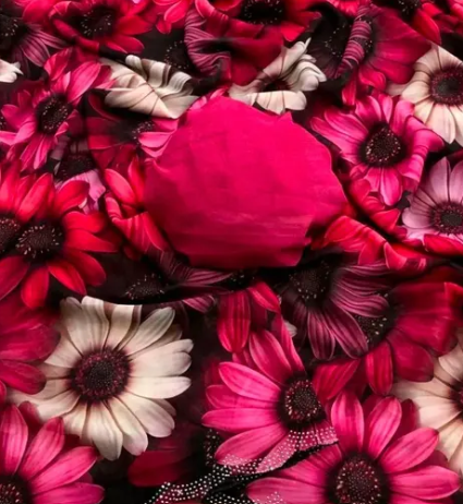 Georgette Printed Saree